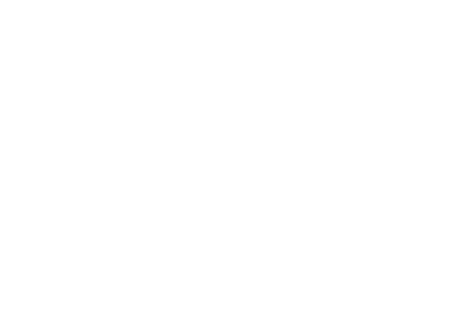 Blic